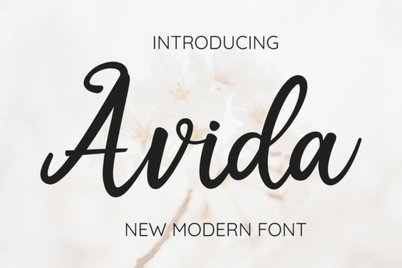 Avida: The Modern Script Font for Elegant Branding