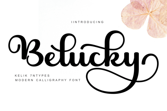 Belucky: The Elegant Script Font for Makers