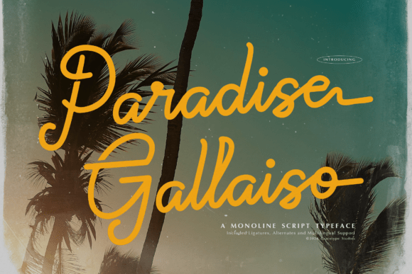 Paradise Gallaiso Font Review for Designers